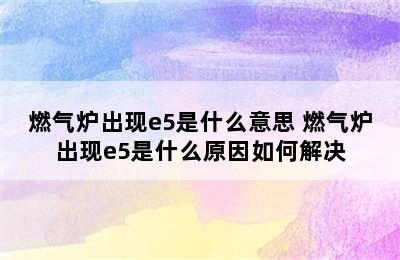 燃气炉出现e5是什么意思 燃气炉出现e5是什么原因如何解决